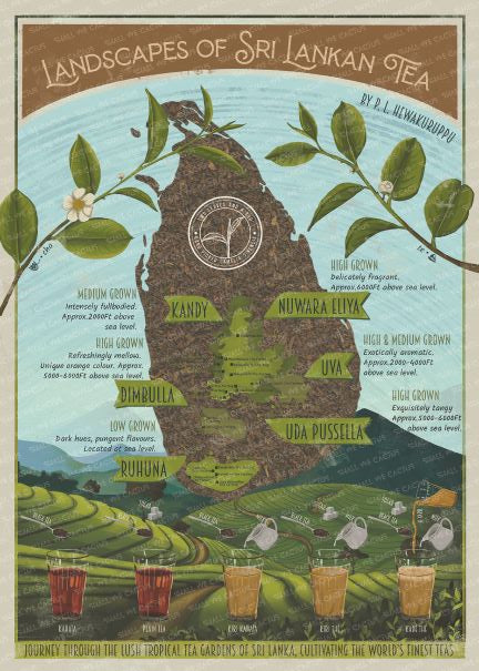 Tea Map