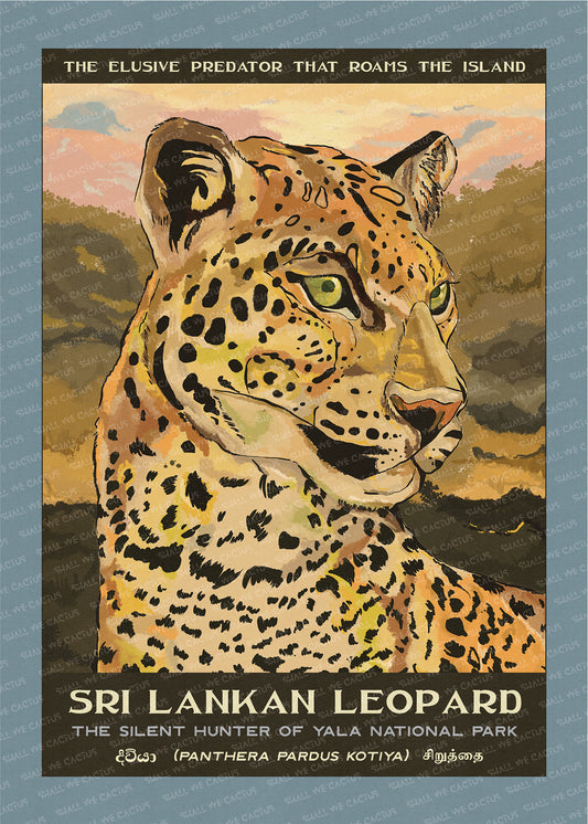 The Sri Lankan Leopard